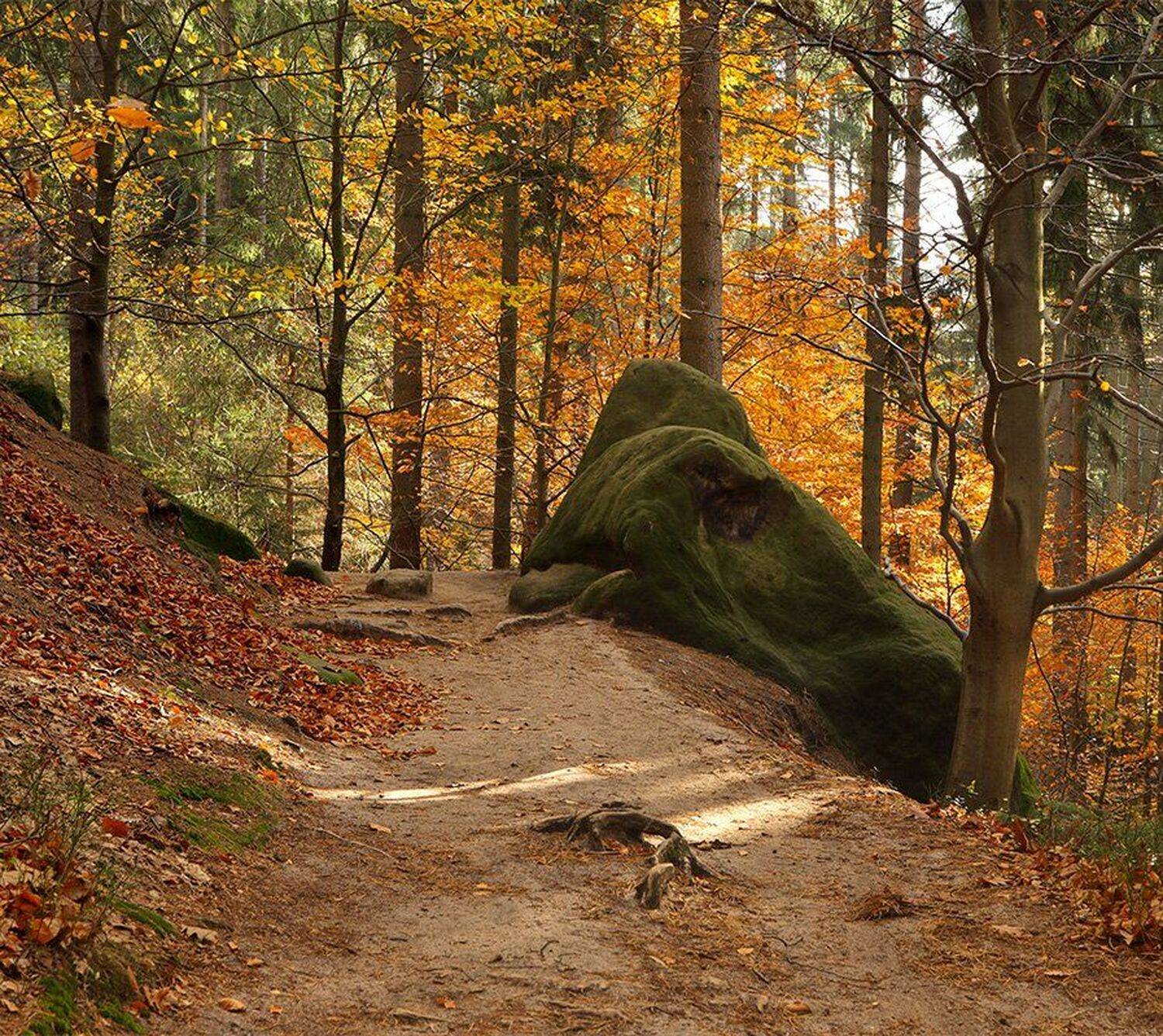 , Игорь Дубровский