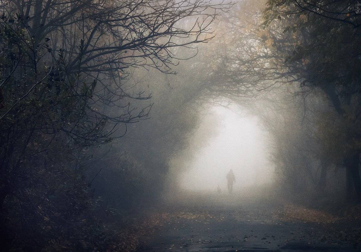 , Игорь Мелекесцев