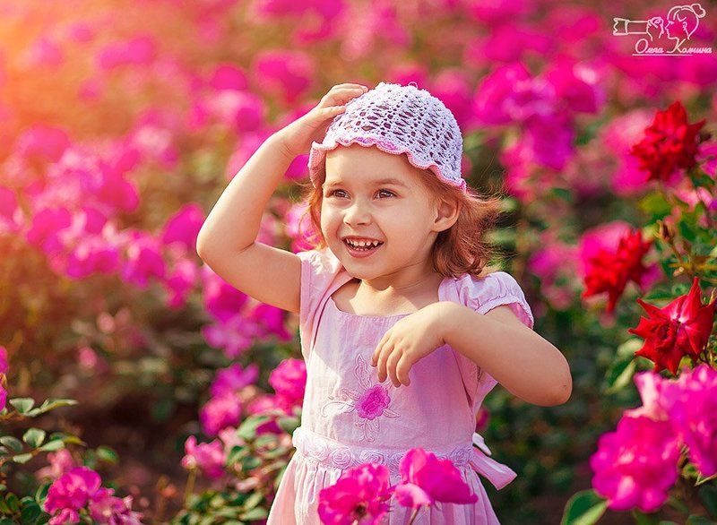 В аромате роз фото превью