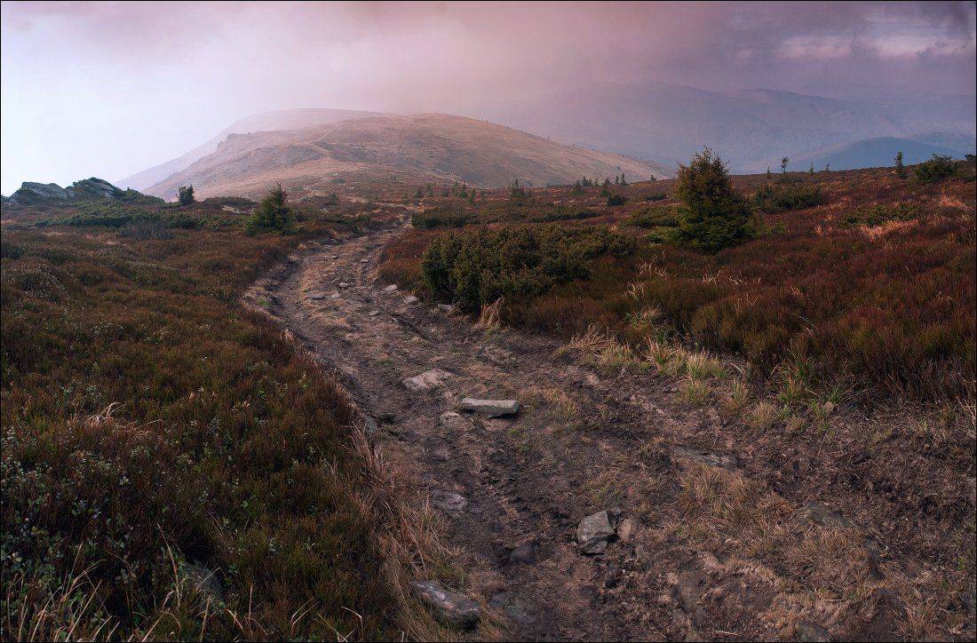 , Полищук И.В.