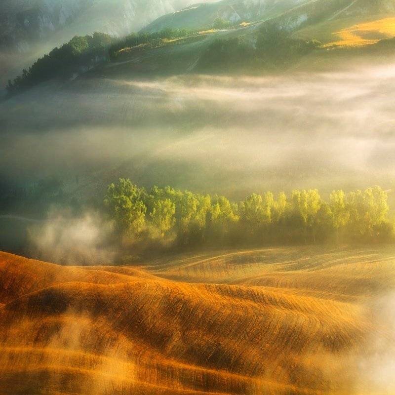 , Krzysztof Browko