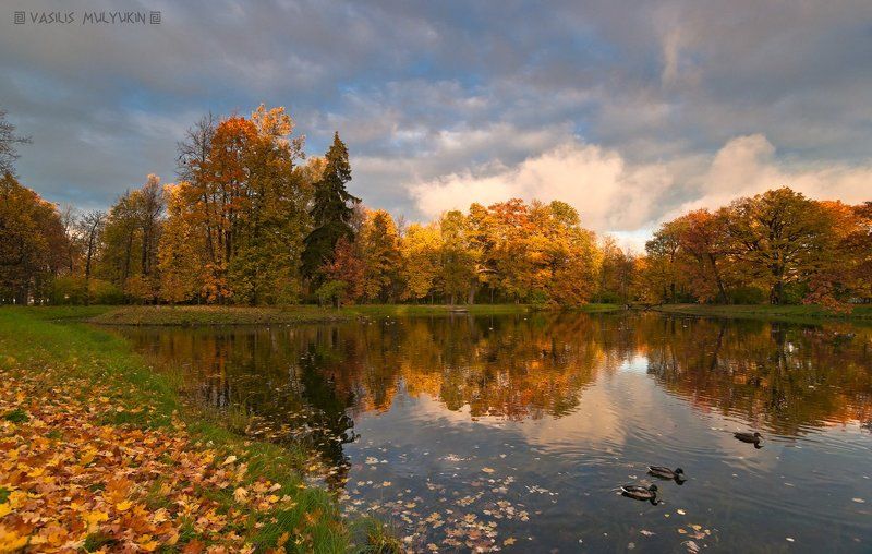 В Александровском парке ... К ... фото превью
