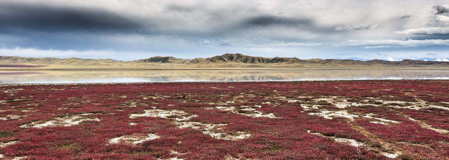 , Сергей Теректі