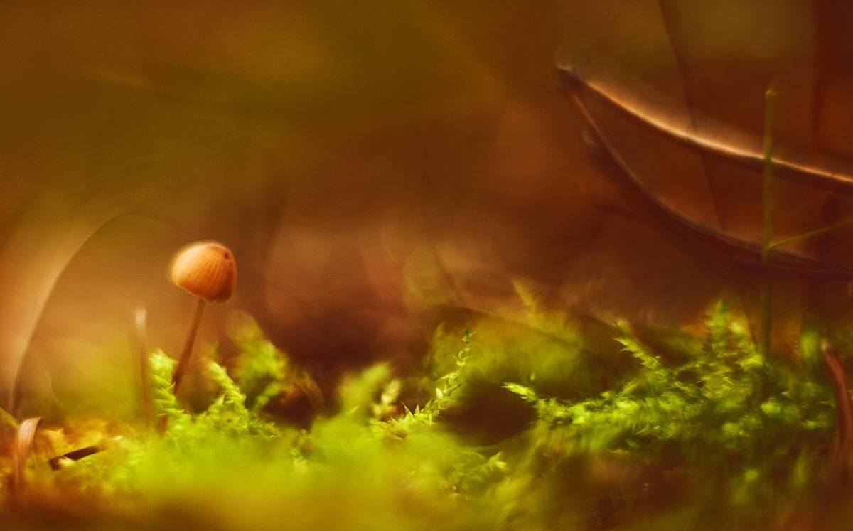 , Татьяна Аверина