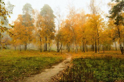 Осенние зарисовки
