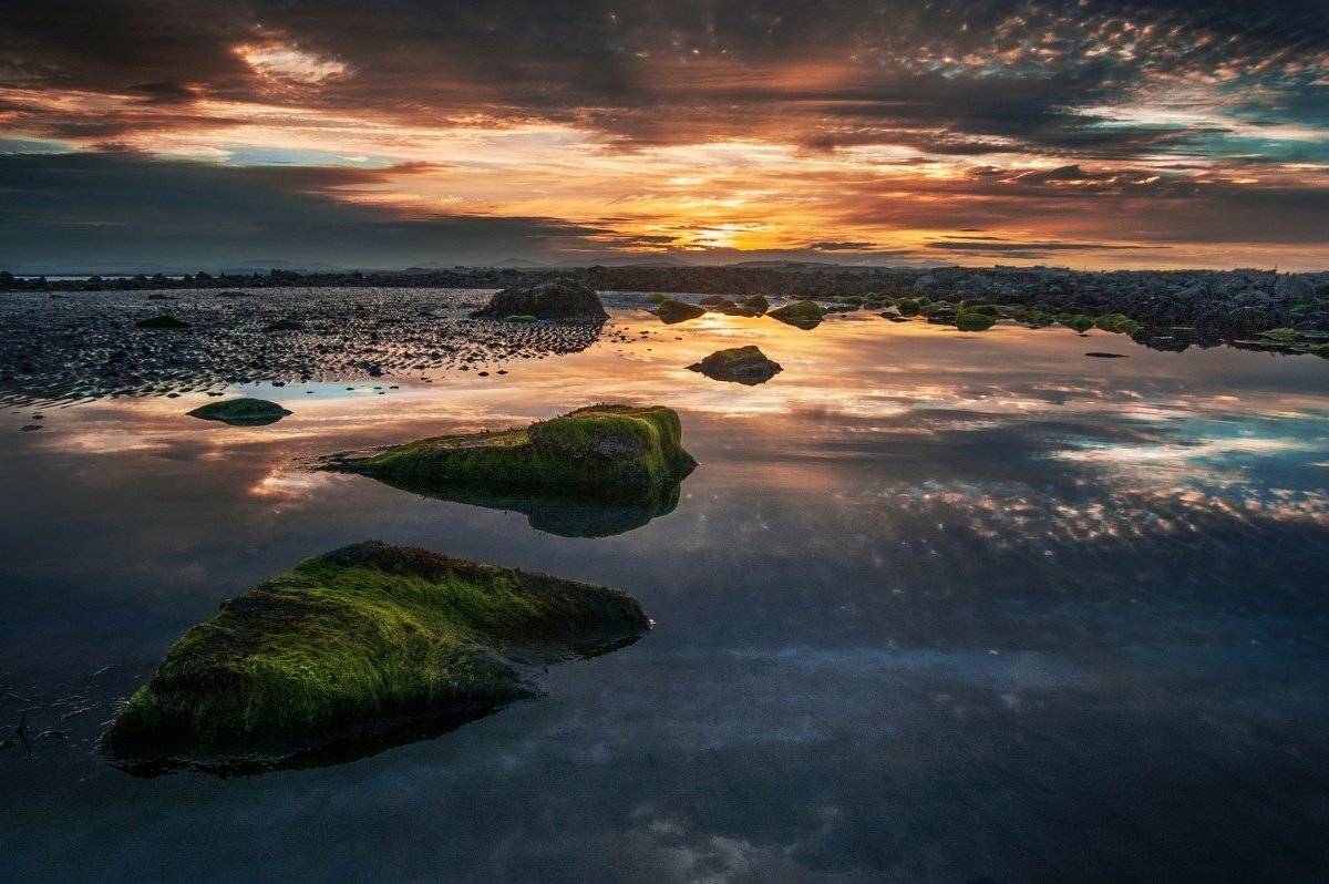 , Emilis Baltrusaitis