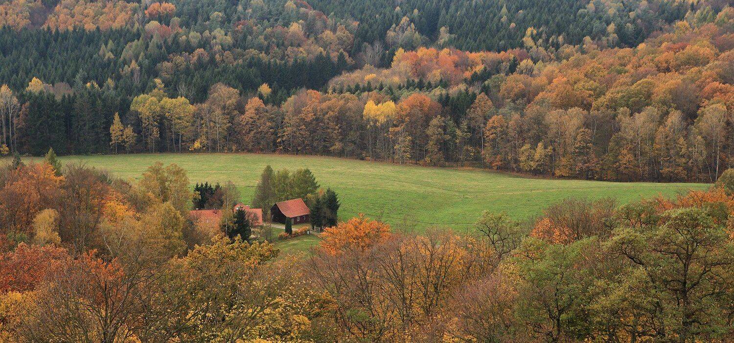 , Игорь Дубровский