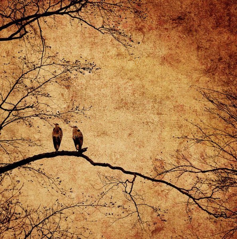 we all fall in love sometime фото превью