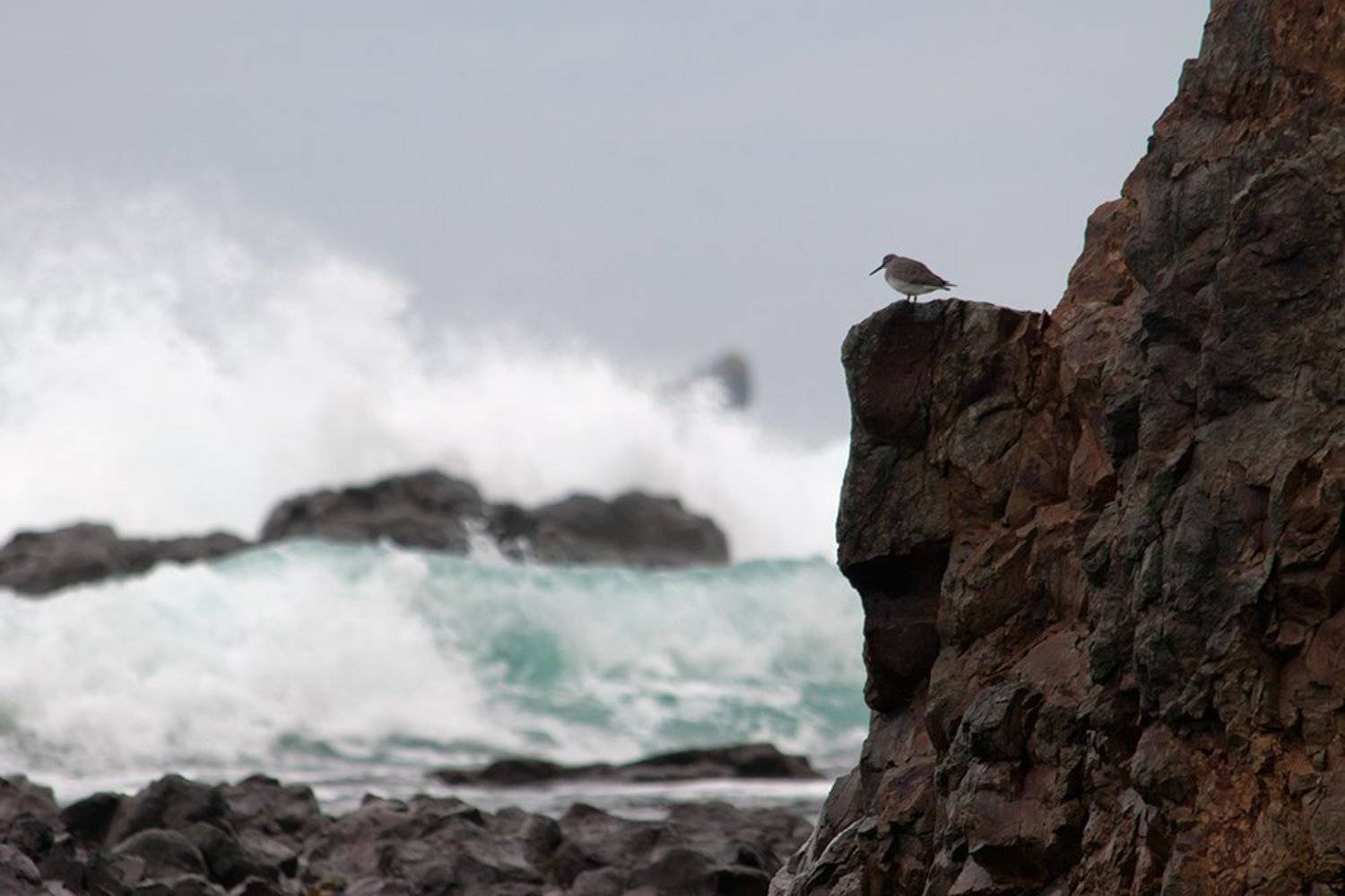 , Ольга Куликова