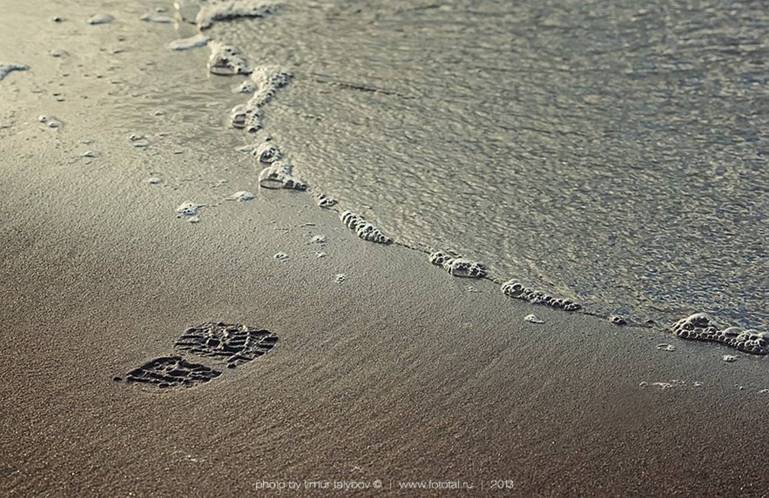 , Тимур Талыбов