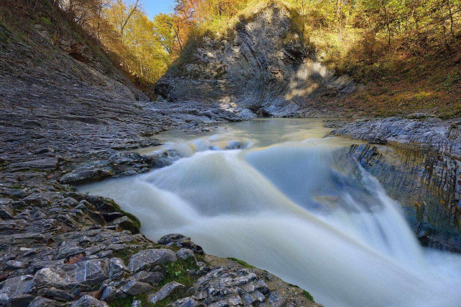 , Максим Евдокимов