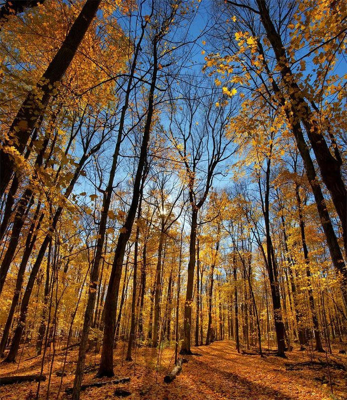 ... фото превью