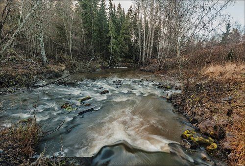 Ноябрьская Давыдовка.