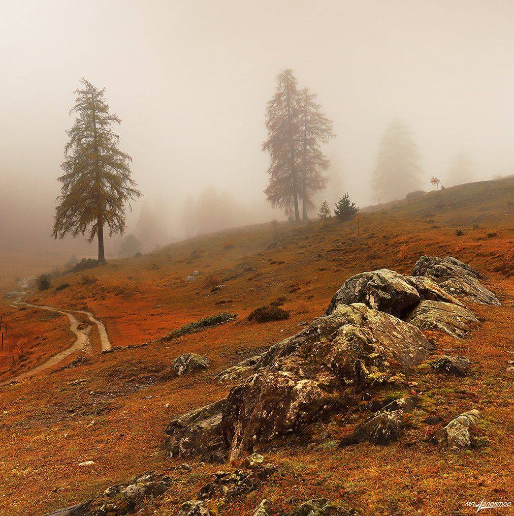 swiss, Матвеев Николай