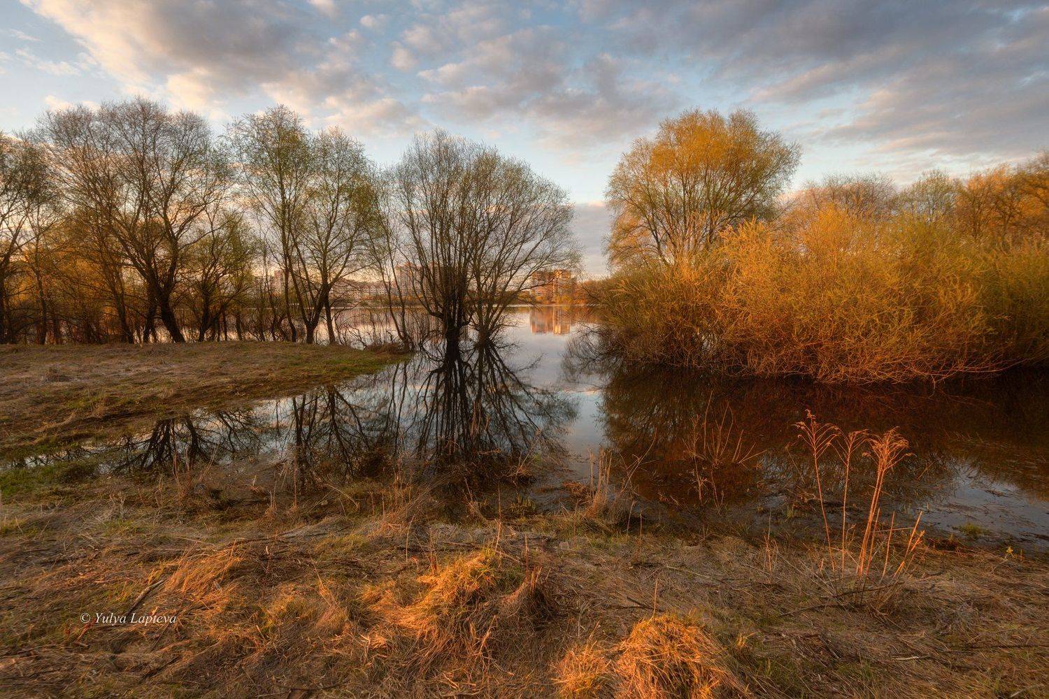 , Юлия Лаптева