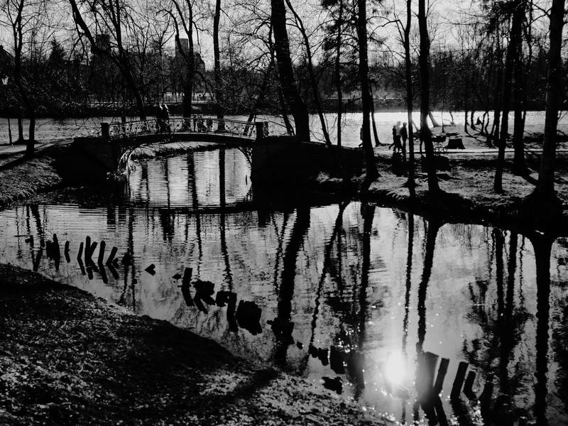 Немного солнца в холодной воде фото превью