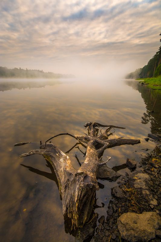 утро туман река лето облака Речная  фото превью