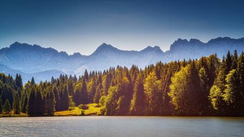 Утренняя тишина