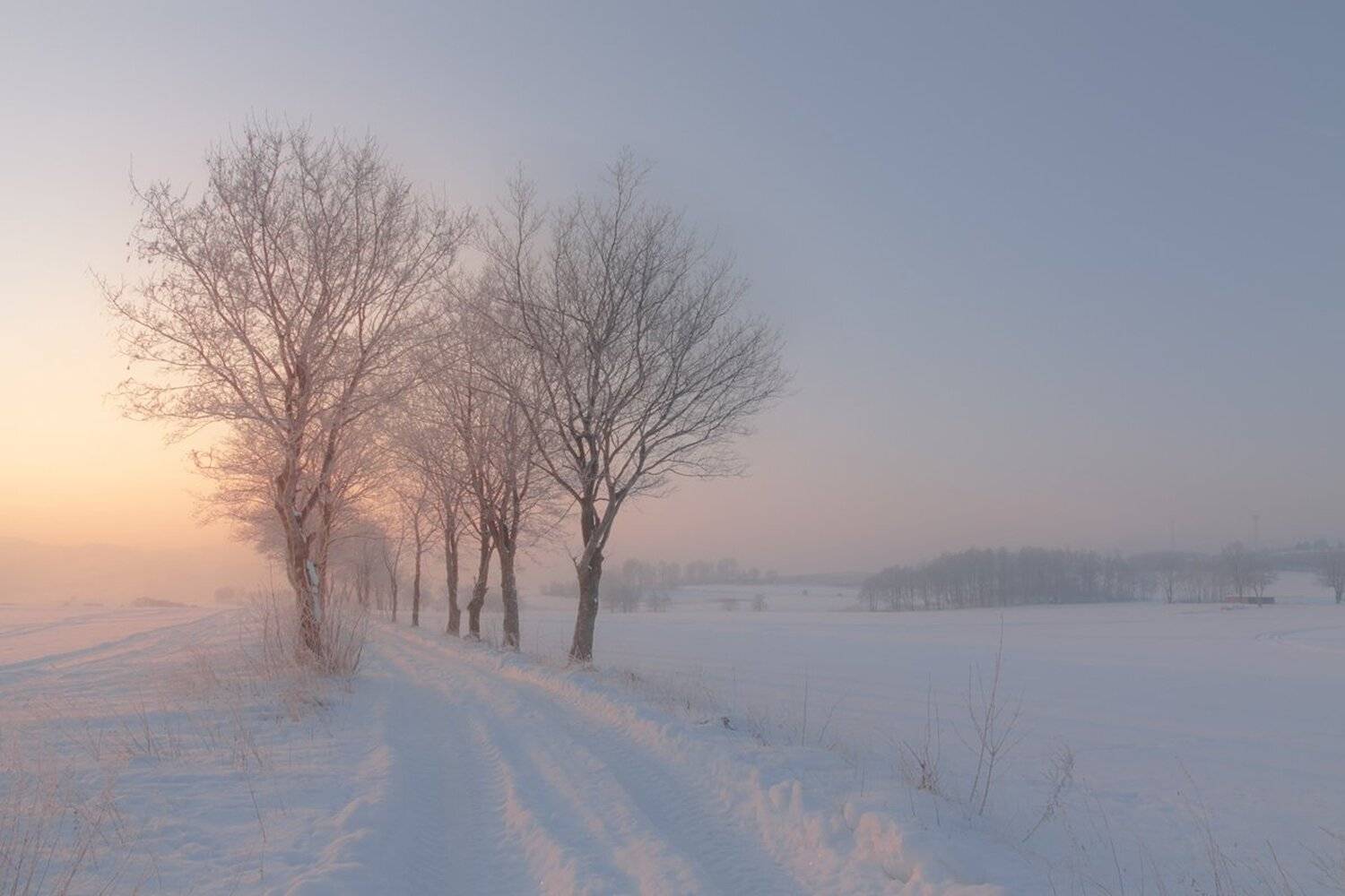 landscape,winter,canon,mountains, Iza i Darek Mitręga