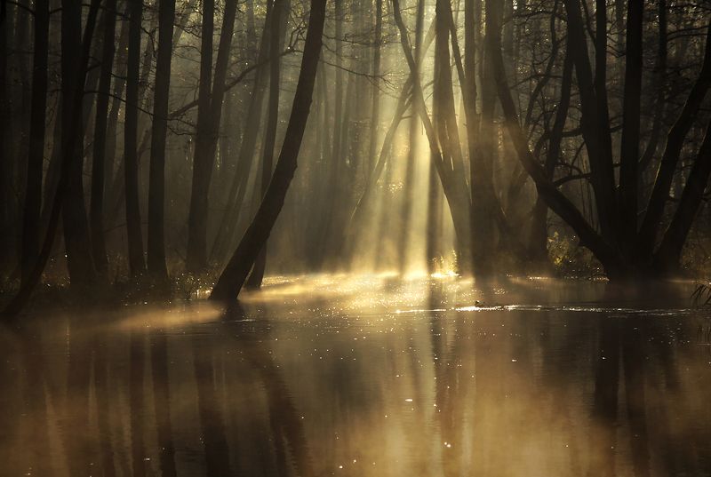 ... фото превью