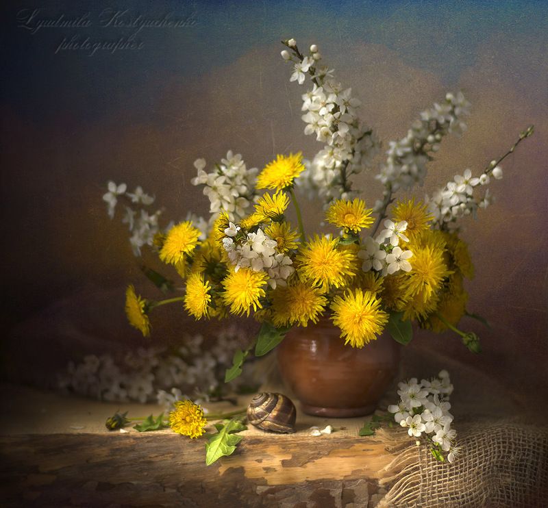 художественное фото,натюрморт,букет с цветами,одуванчики. Одуванчики с улиткой. фото превью