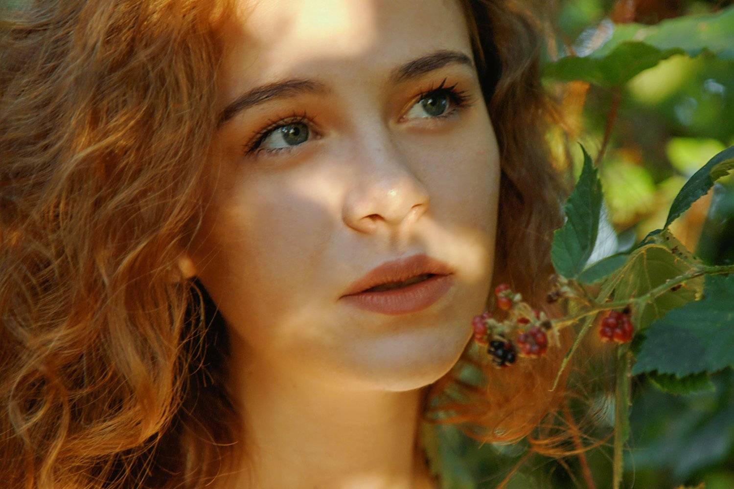 , Marie Dashkova