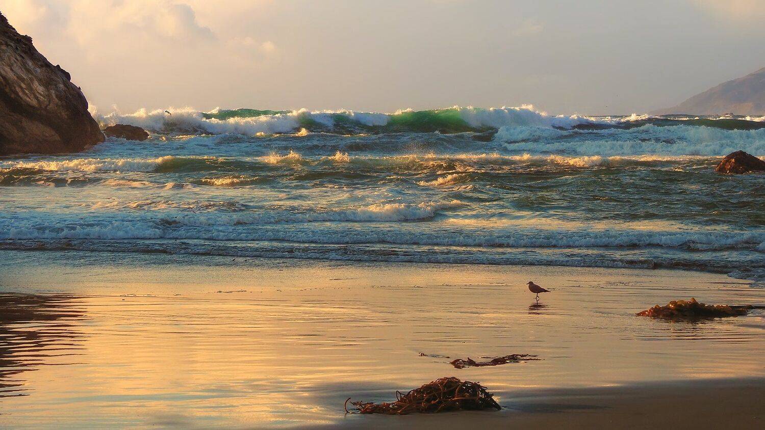 , Евгений Шварцман