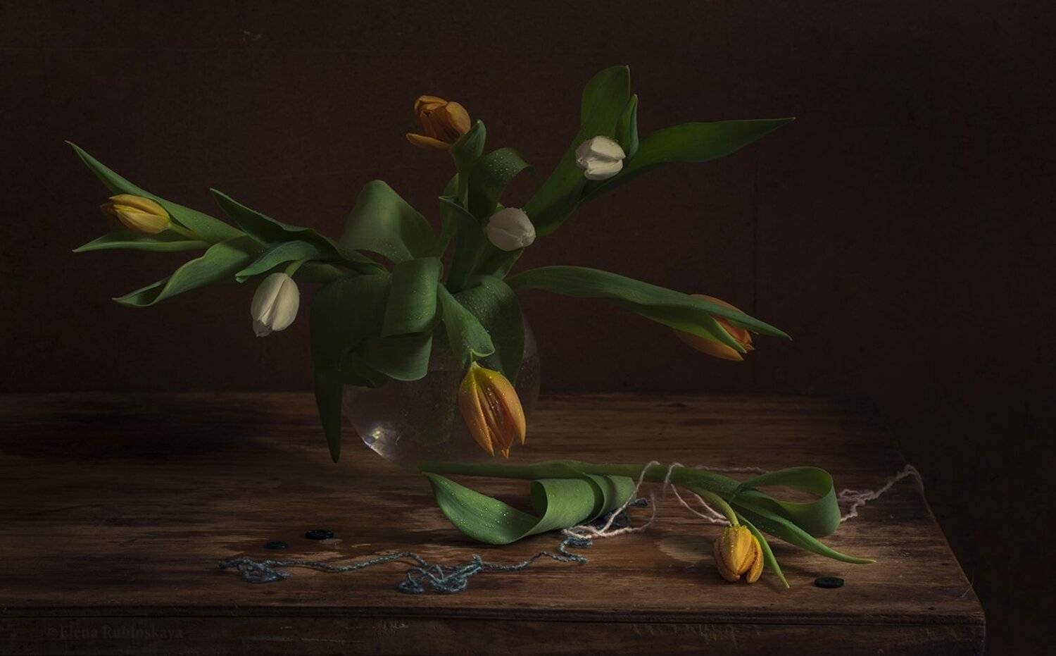 , Елена Рубинская