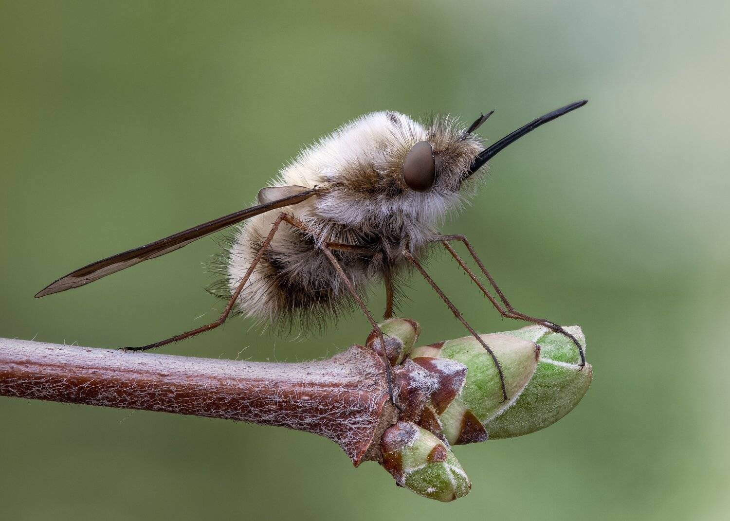 , Кузнецов Дмитрий