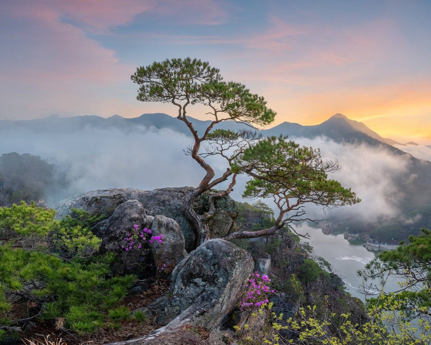 mountains,peak,hiking,fog,clouds,mood,tree, Jaeyoun Ryu