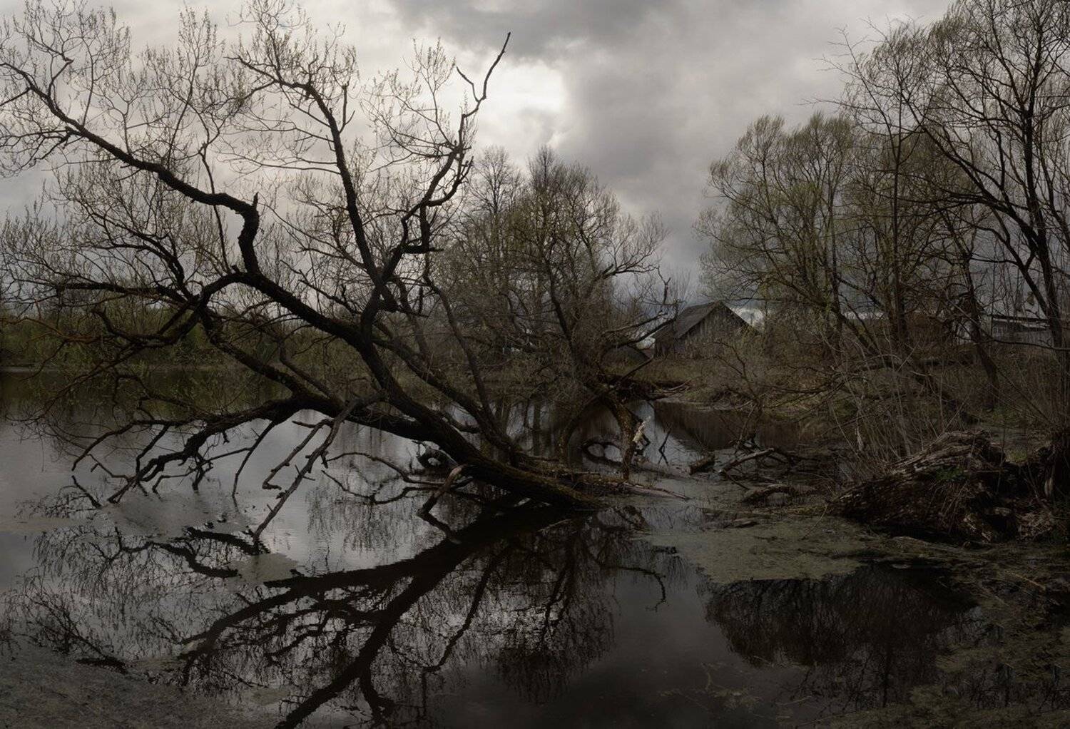 , Баранов Олег