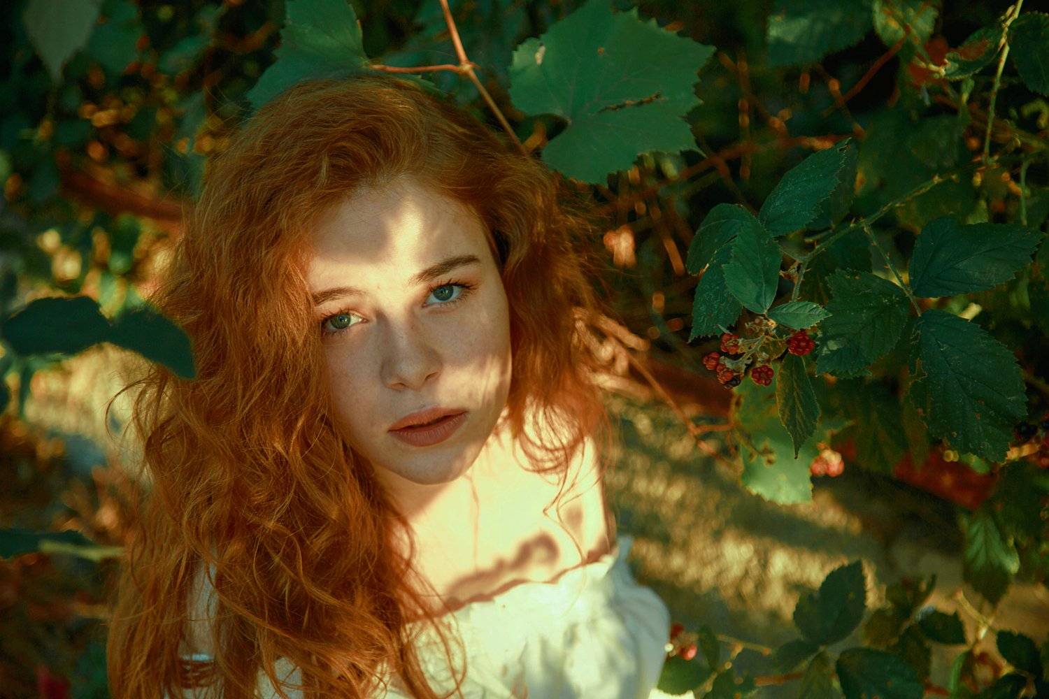 Катя. Автор: Marie Dashkova , Marie Dashkova