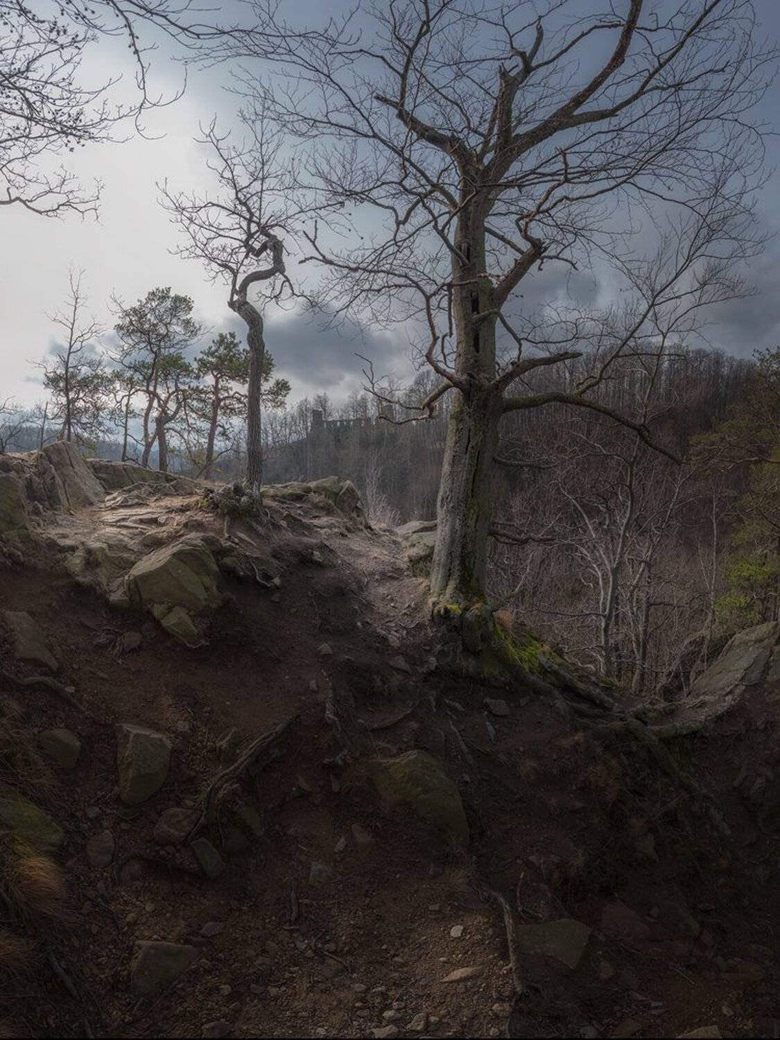 landscape,winter,canon,mountains,castle, Iza i Darek Mitręga