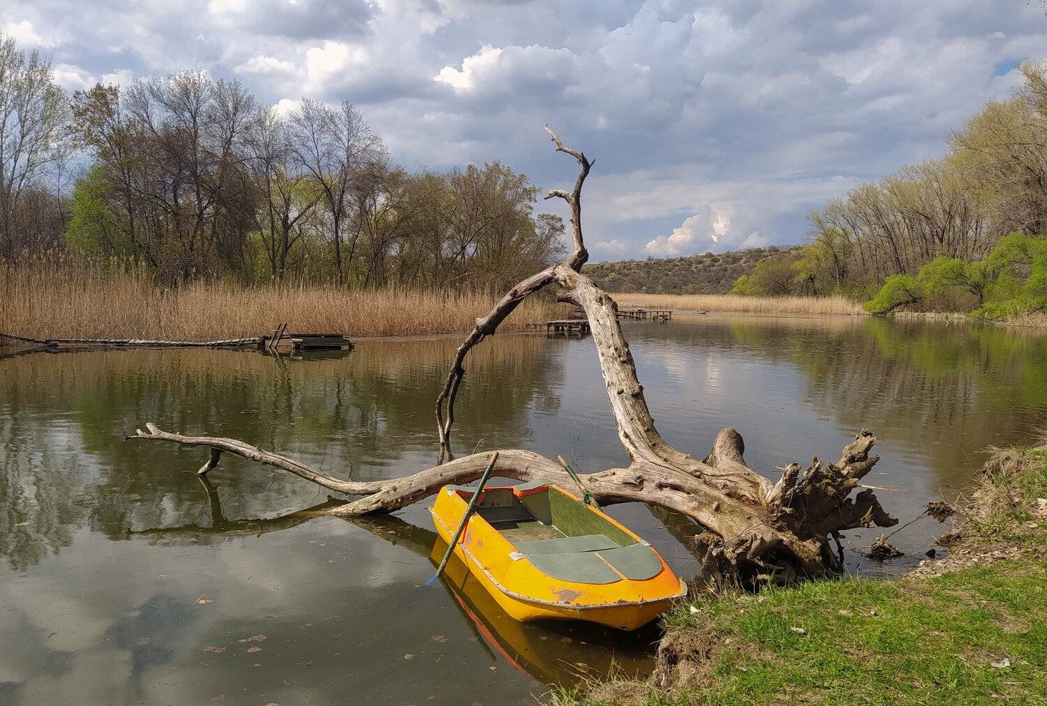 донецкая область, зуевка, Sergii Vidov