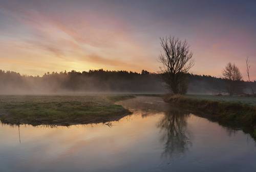 Wierzyca river