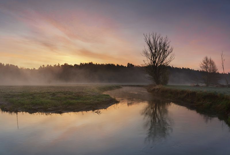 sunrise, river, tree, nature, landscape, morning, spring, sun, day Wierzyca river фото превью