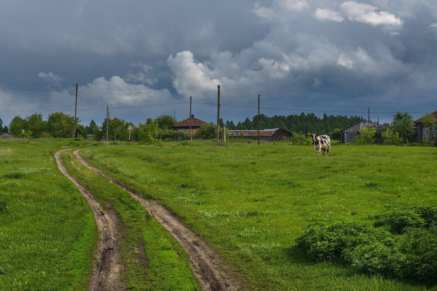 , Кутыгин Эдуард