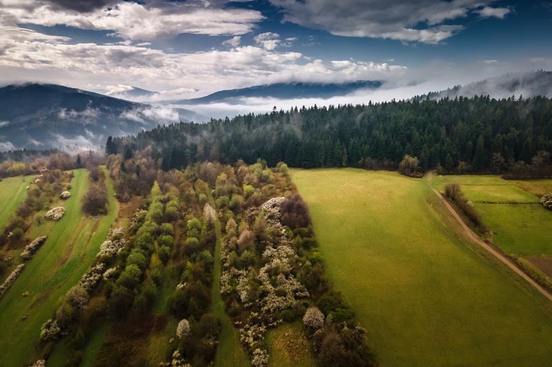 mountains, spring, poland After rain фото превью