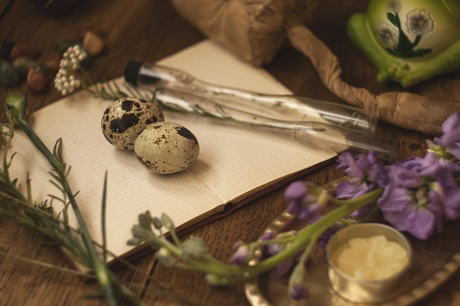 натюрморт, ботаника, Ольга Алексейчик