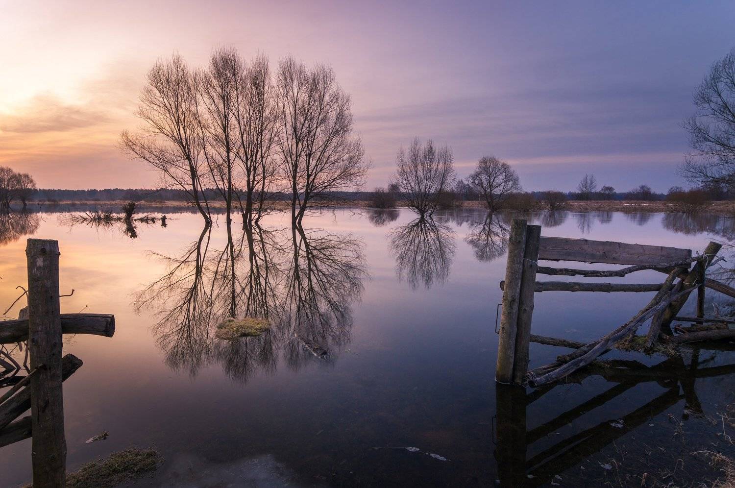 туман, владимирская область, утро, природа, пейзаж, весна, половодье, солнце, Александр Кыров