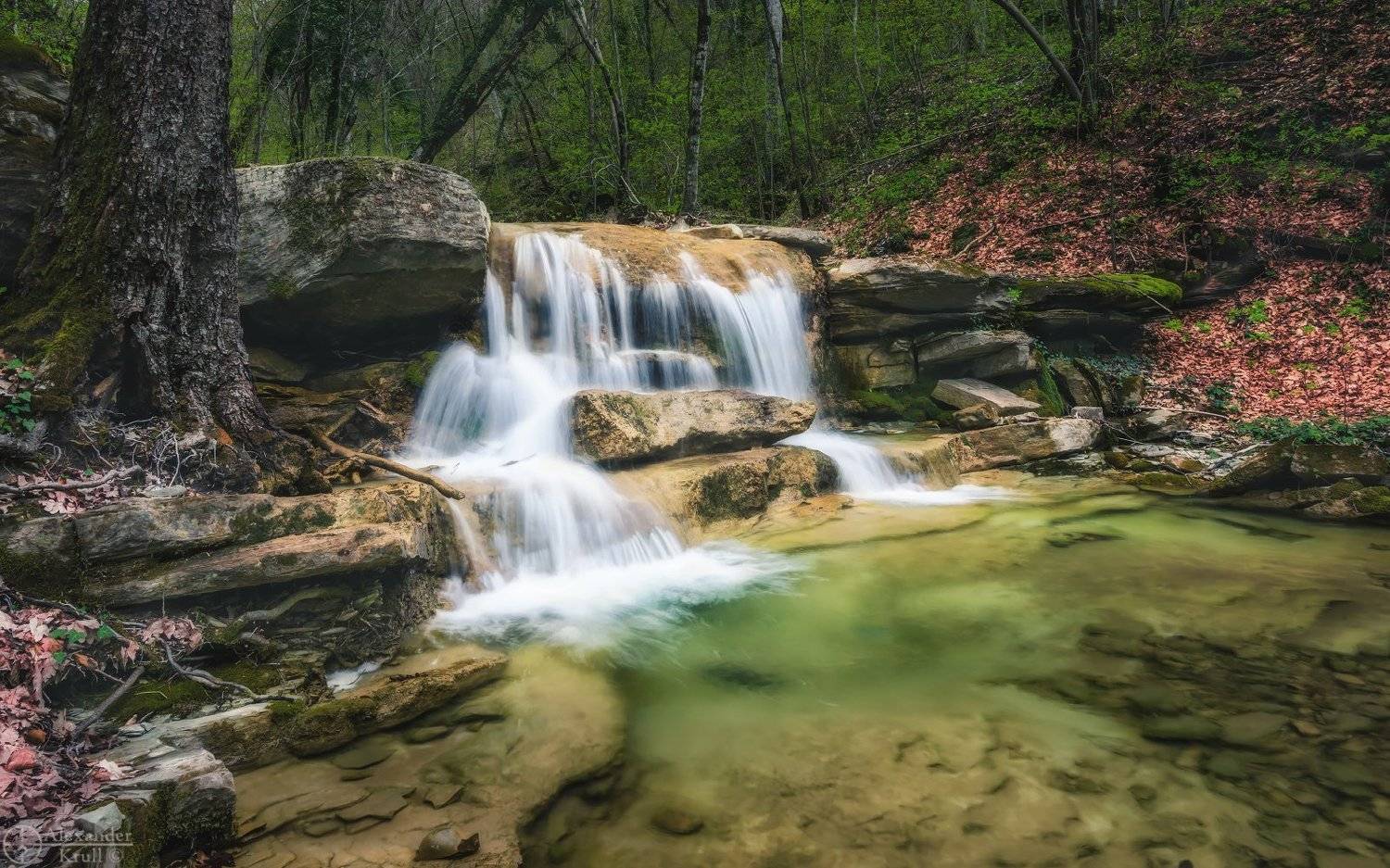 , Александр Круль