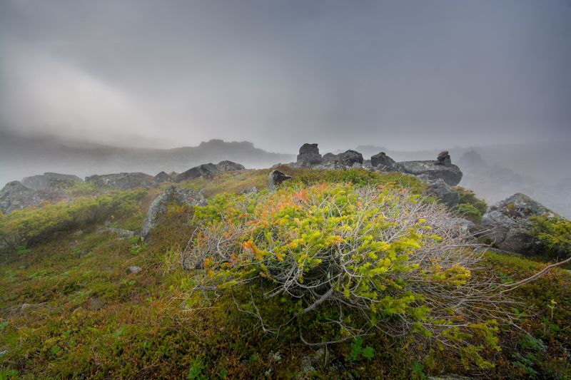 туман горы скалы урал лето утро Блуждая в тумане фото превью