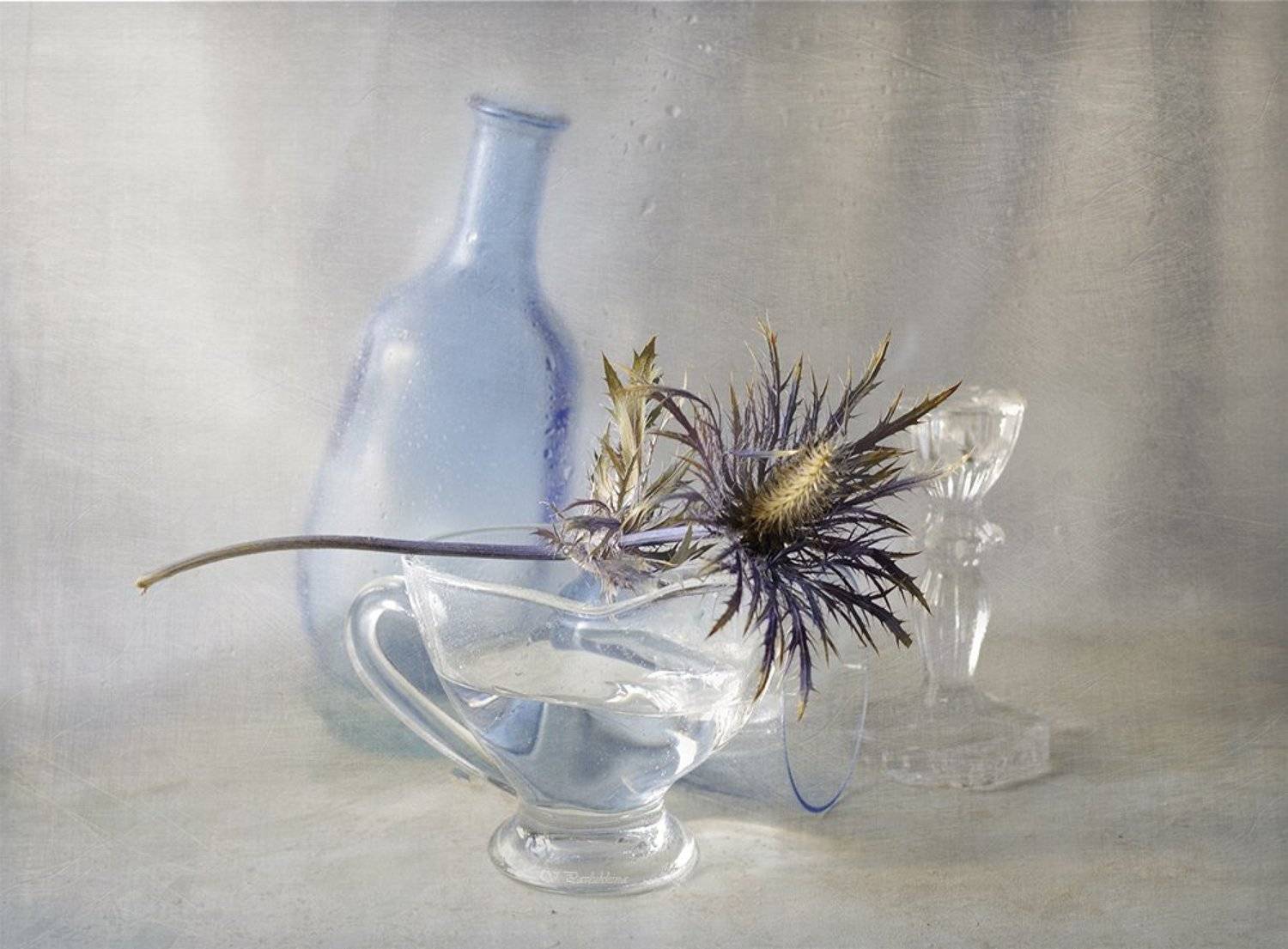 сухоцветы ,натюрморт ,вера павлухина ,стекло ,, Вера  Павлухина