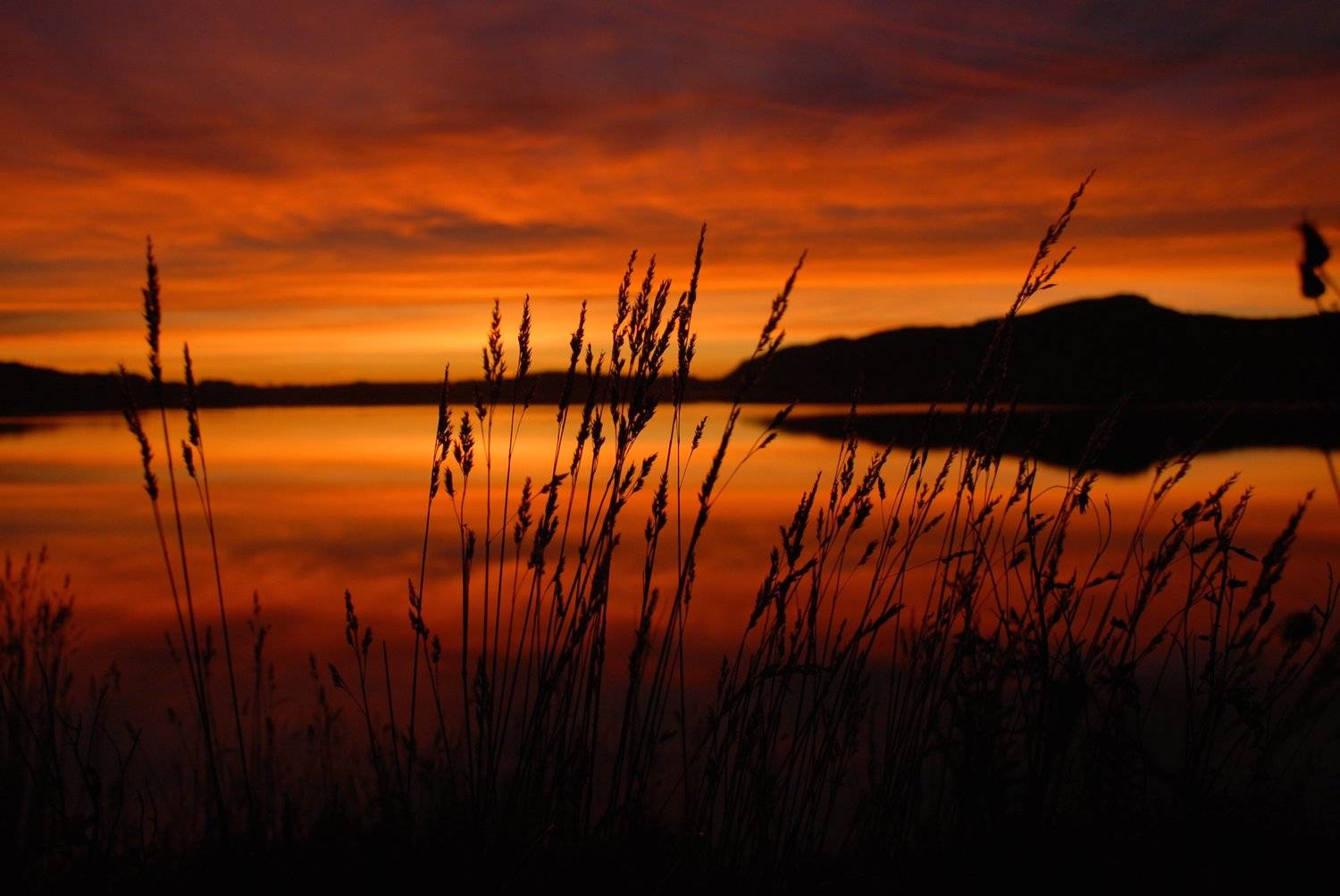 Landscapes, nature, Norway, lake, sunset, red, colors, straw, water, reflection, sky, clouds, , Svetlana Povarova Ree
