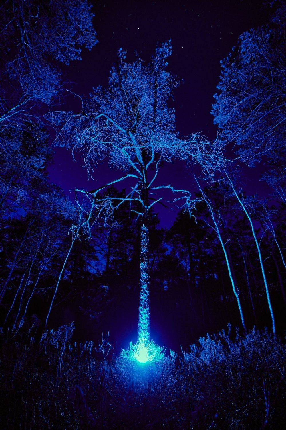 , Александр Фанковин