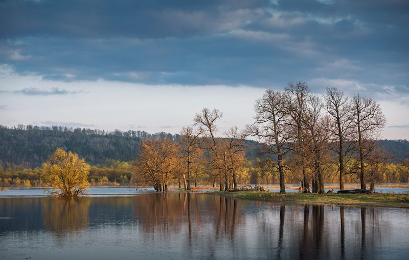 природа пейзаж вечер река деревья Весенний разлив фото превью