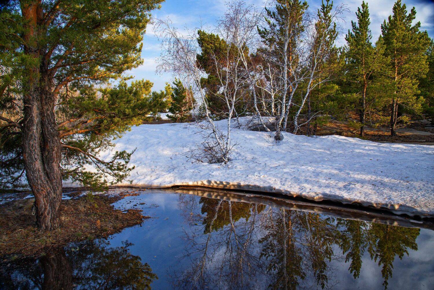 весна  цветы, Евгений Дроботенко
