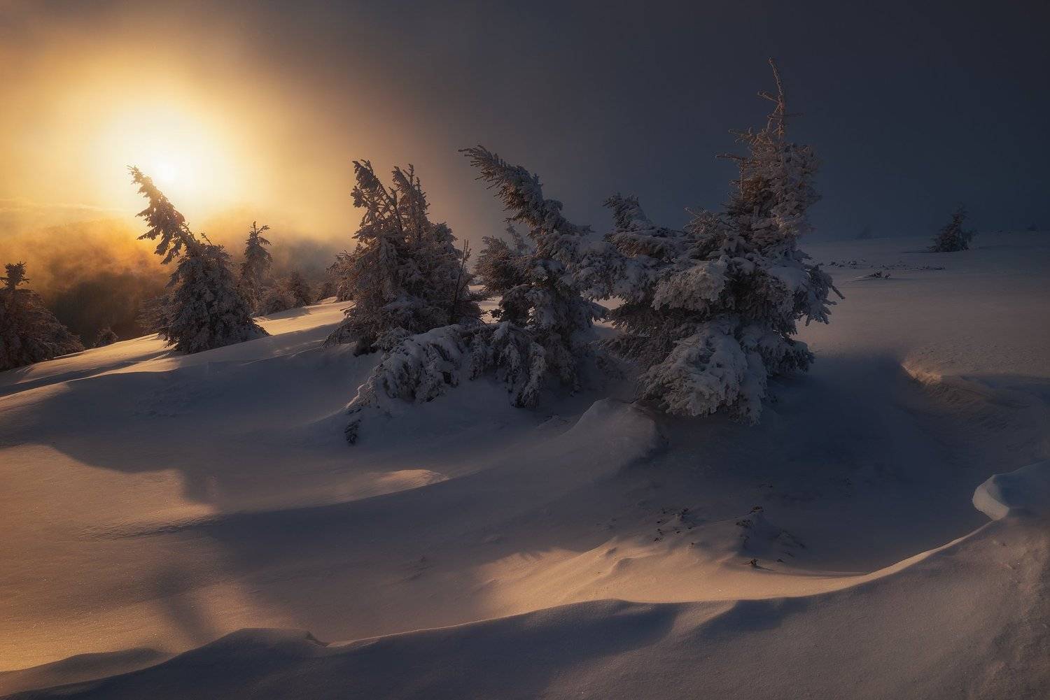 , Szabo Zsolt Andras