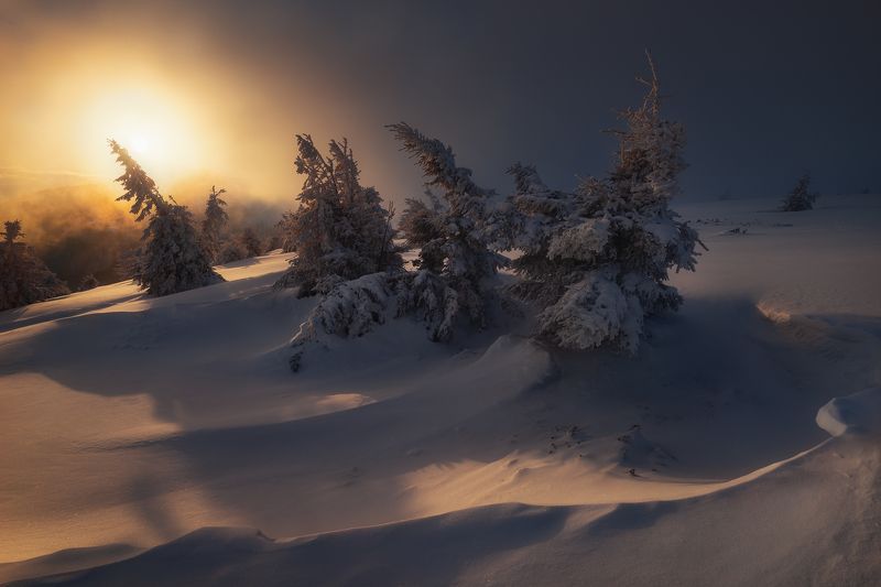 Lights and shadows фото превью