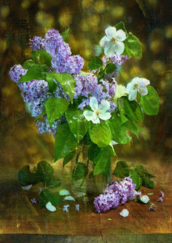 Сирень и айва фото превью